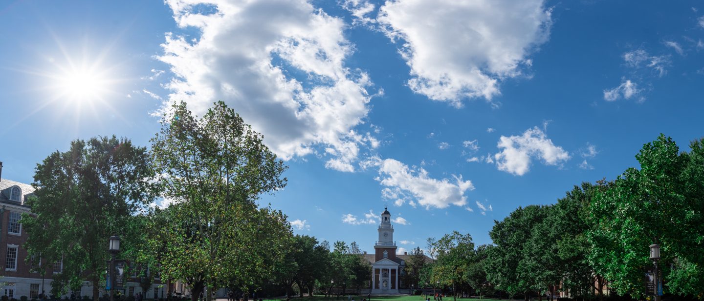 2024 Summer Courses for Undergraduates Summer at Hopkins